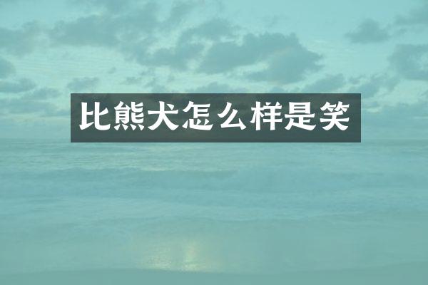 比熊犬怎么样是笑