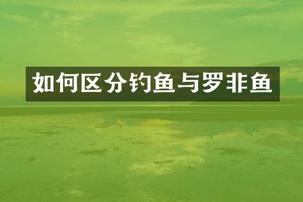 如何区分钓鱼与罗非鱼