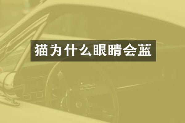 猫为什么眼睛会蓝