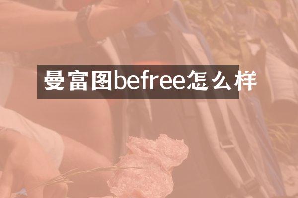 曼富图befree怎么样