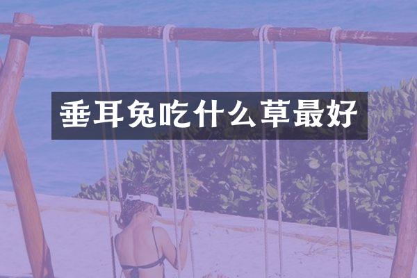 垂耳兔吃什么草最好