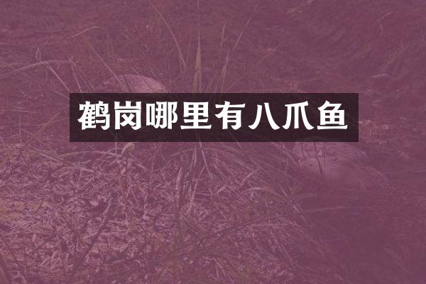 鹤岗哪里有八爪鱼
