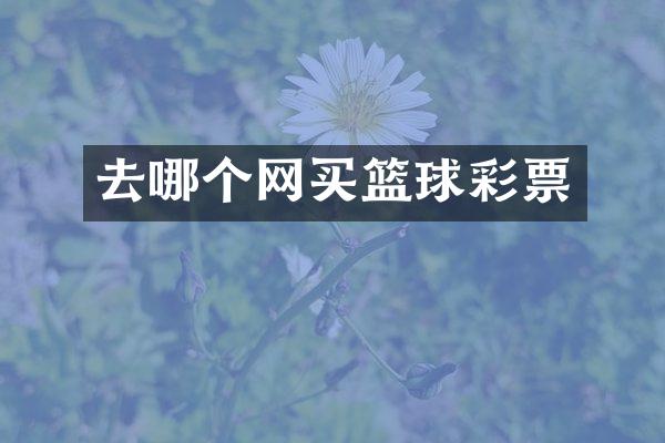 去哪个网买篮球彩票