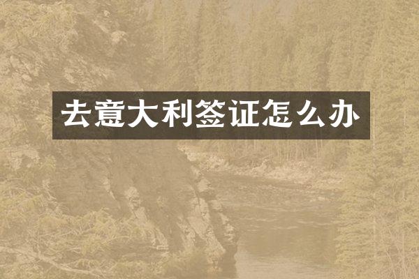 去意大利签证怎么办