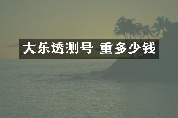 大测号 重多少钱
