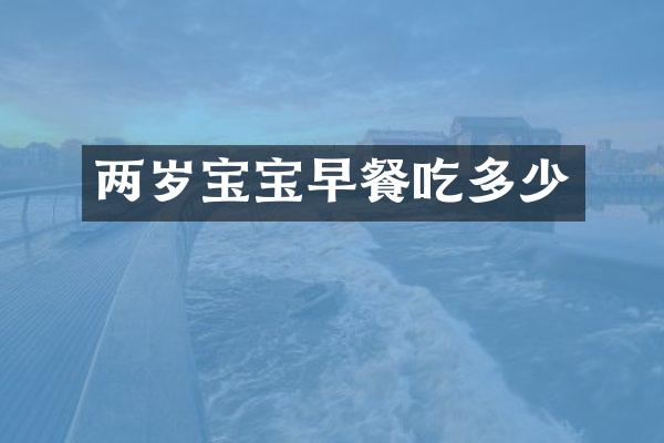 两岁宝宝早餐吃多少