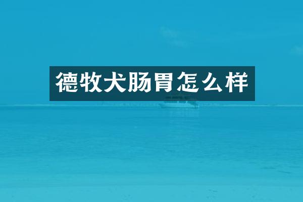 德牧犬肠胃怎么样