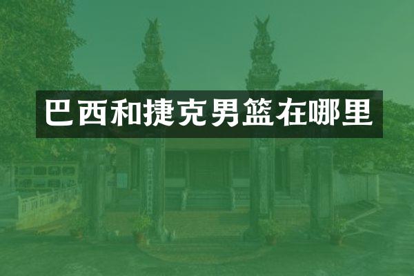 巴西和捷克男篮在哪里
