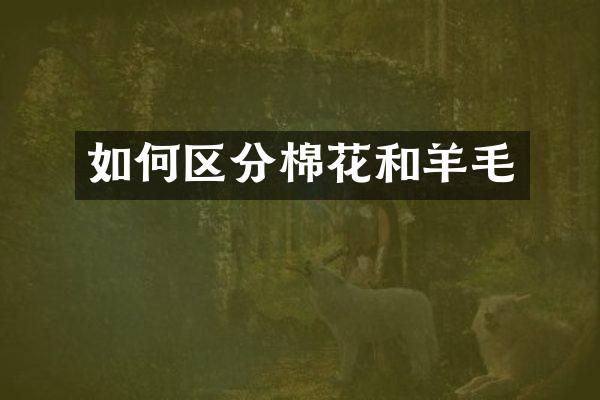 如何区分棉花和羊毛