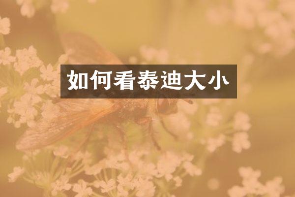 如何看泰迪大小