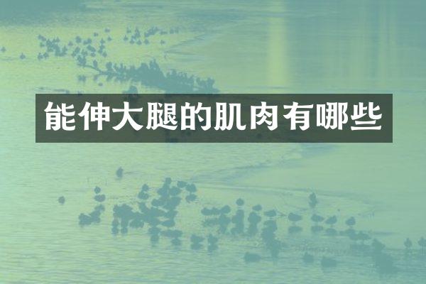 能伸大腿的肌肉有哪些