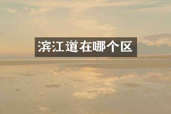 滨江道在哪个区