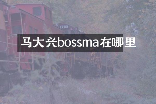 马大兴bossma在哪里