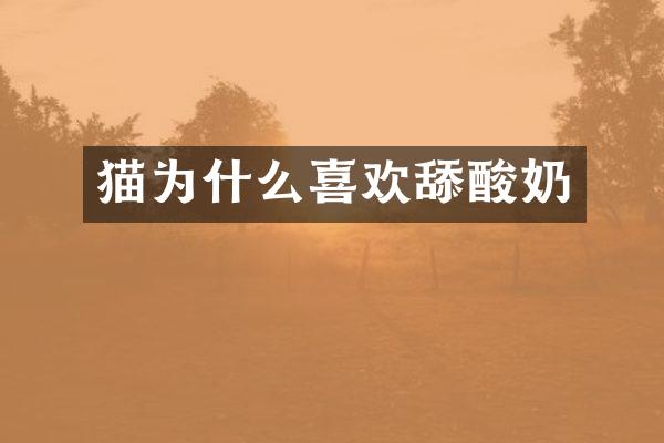 猫为什么喜欢舔酸奶