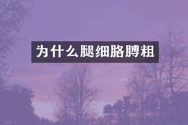 为什么腿细胳膊粗