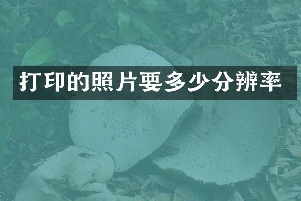 打印的照片要多少分辨率