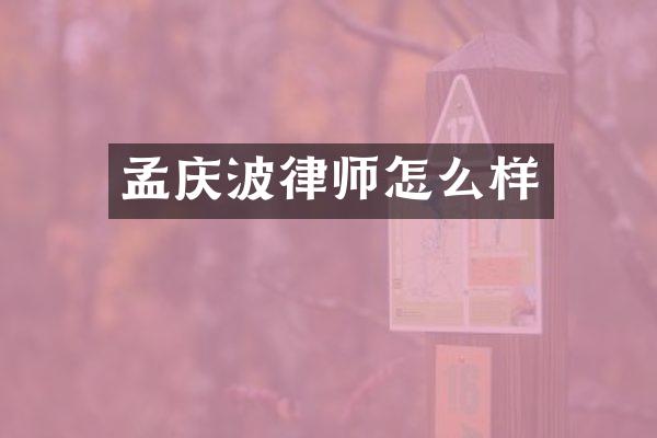 孟庆波律师怎么样