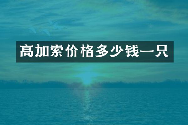 高加索价格多少钱一只