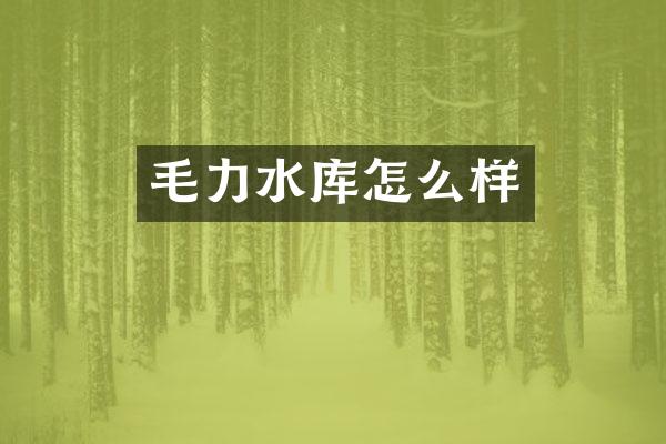 毛力水库怎么样