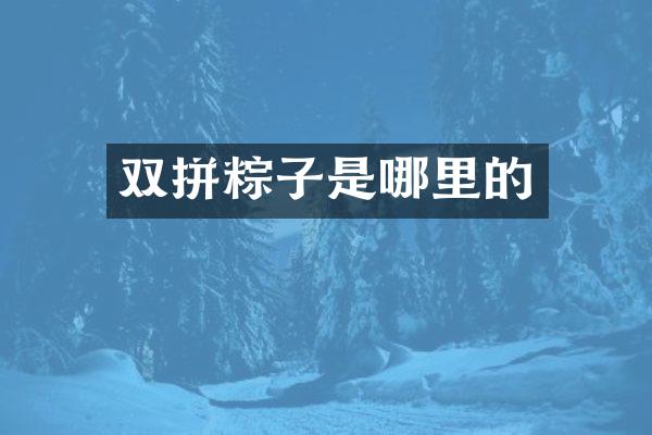 双拼粽子是哪里的