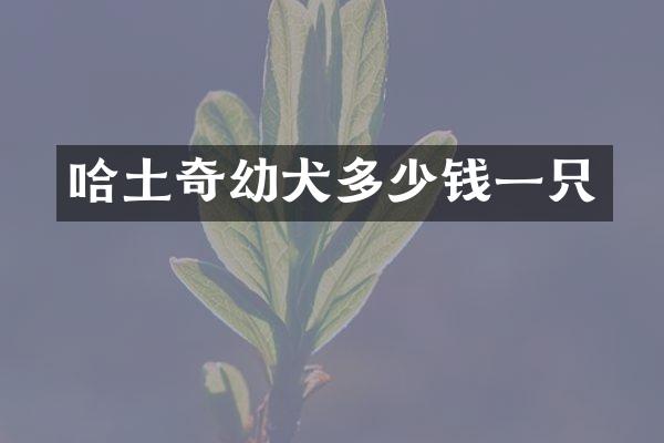 哈土奇幼犬多少钱一只