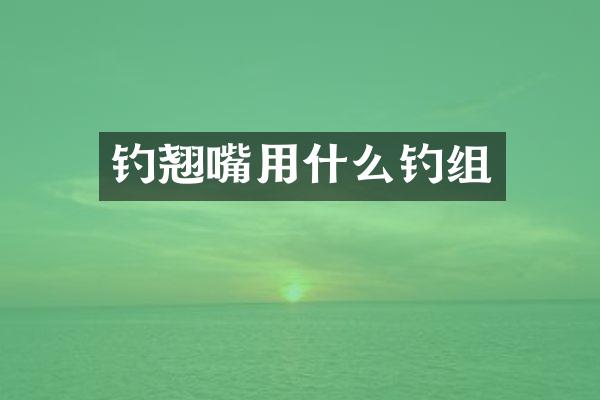 钓翘嘴用什么钓组