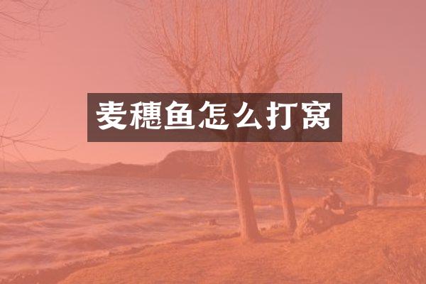 麦穗鱼怎么打窝