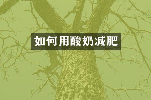 如何用酸奶减肥