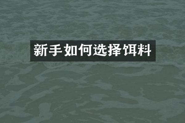 新手如何选择饵料