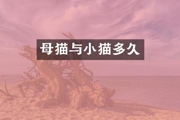 母猫与小猫多久