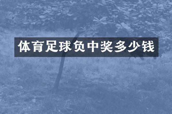 体育足球负中奖多少钱