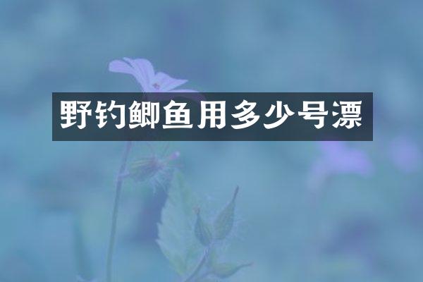 野钓鲫鱼用多少号漂