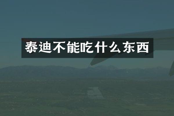 泰迪不能吃什么东西