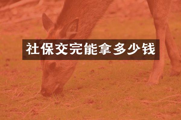社保交完能拿多少钱