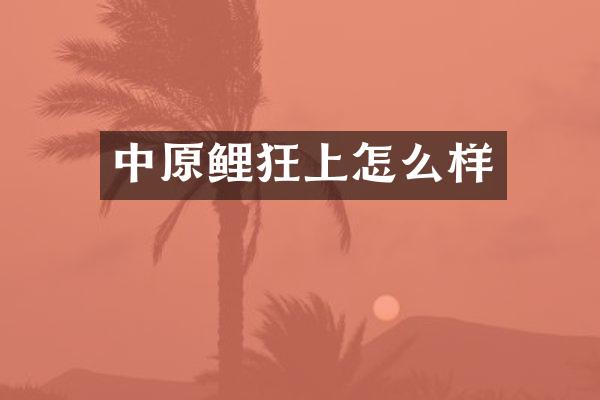 中原鲤狂上怎么样