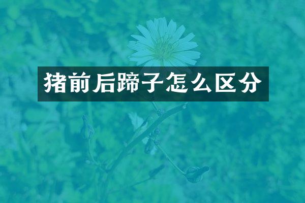 猪前后蹄子怎么区分