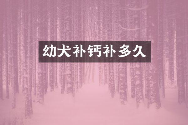 幼犬补钙补多久