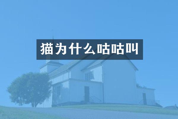 猫为什么咕咕叫