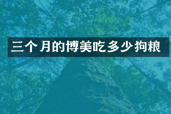 三个月的博美吃多少狗粮