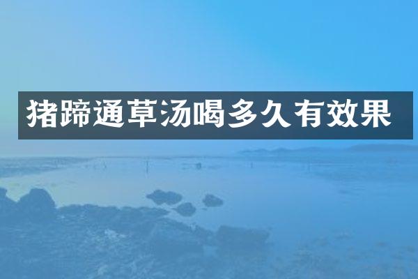 猪蹄通草汤喝多久有效果