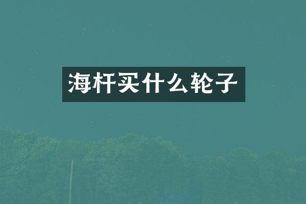 海杆买什么轮子