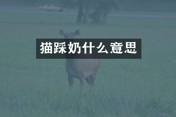 猫踩奶什么意思