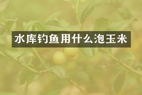 水库钓鱼用什么泡玉米