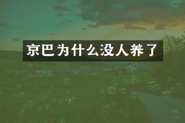 京巴为什么没人养了