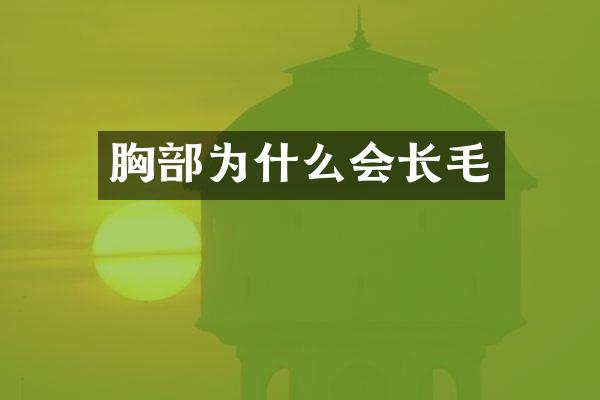 胸部为什么会长毛