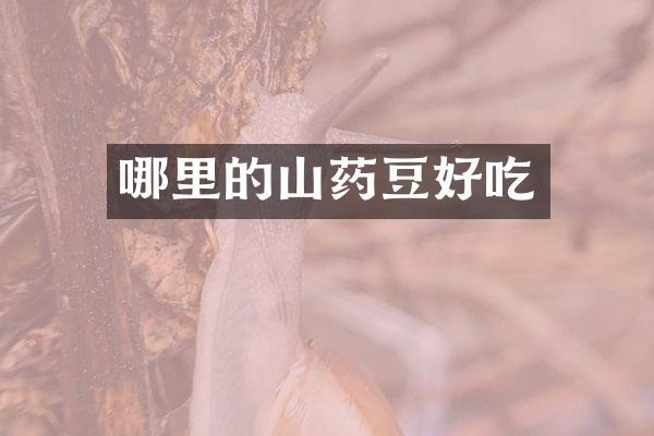 哪里的山药豆好吃