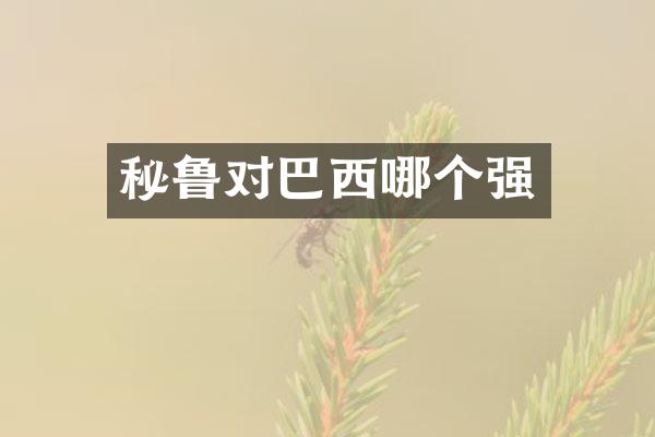秘鲁对巴西哪个强