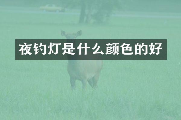 夜钓灯是什么颜色的好