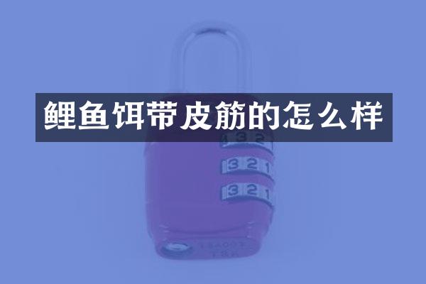 鲤鱼饵带皮筋的怎么样