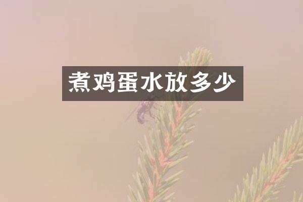 煮鸡蛋水放多少